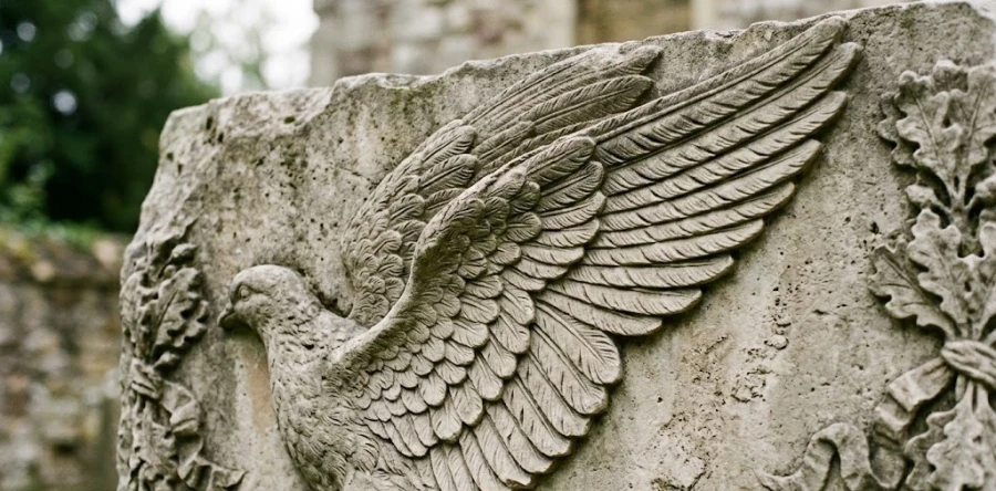 barelyef-golub-krylya